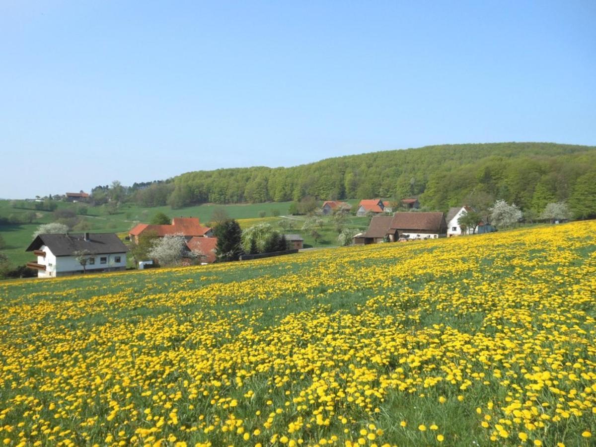 Ferienwohnung Oettersbach Poppenhausen Dış mekan fotoğraf